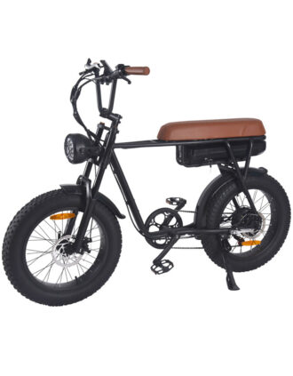 20 Inch 750W Fat Tire Retro Off-road Motorcycles Electric Bike ES02